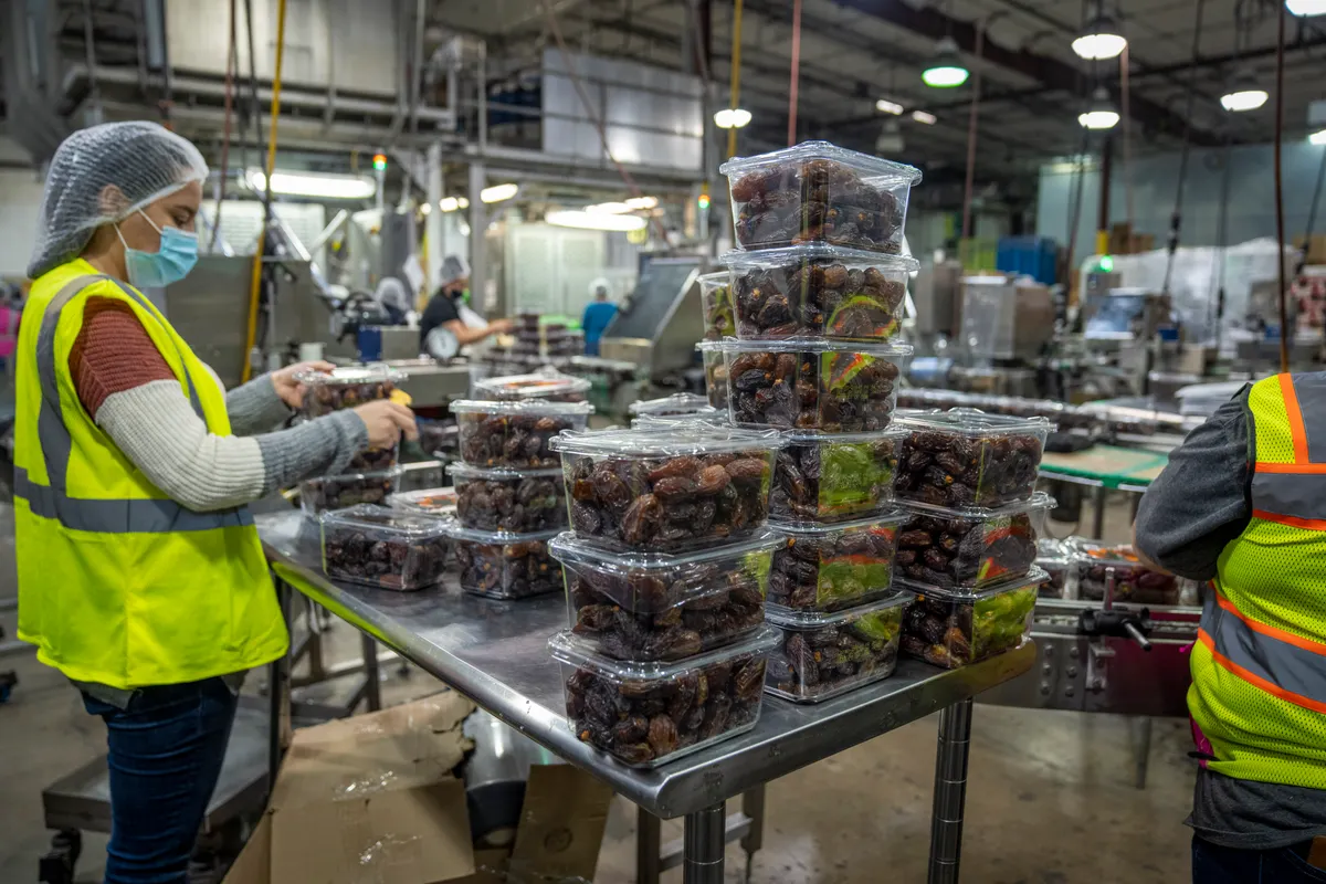 Stock photo: Sealed date packages at a food packing facility